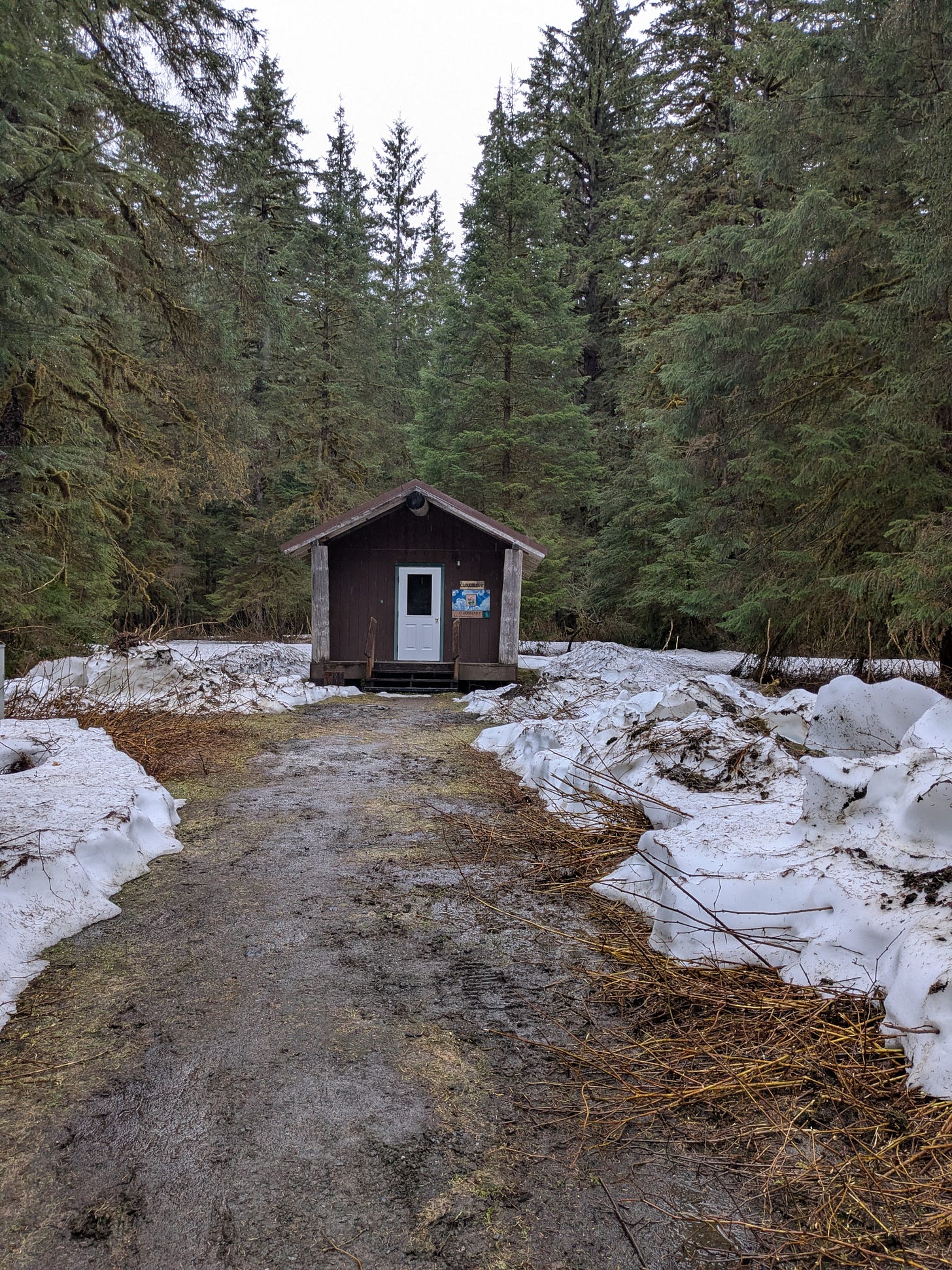 A loan wooden cabin in the middle of an Alaskan rainforest. It's dominated by super tall trees. A dirt path leads up to it surrounded by deep snow that's been shoved to the side.