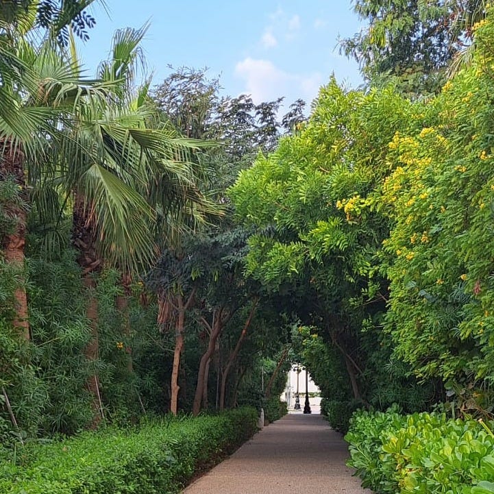 Mirale the documentarist