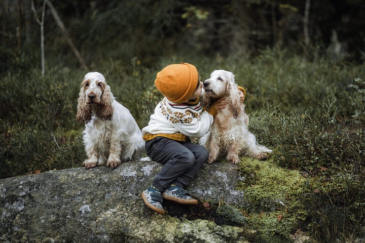 family photo session with dogs