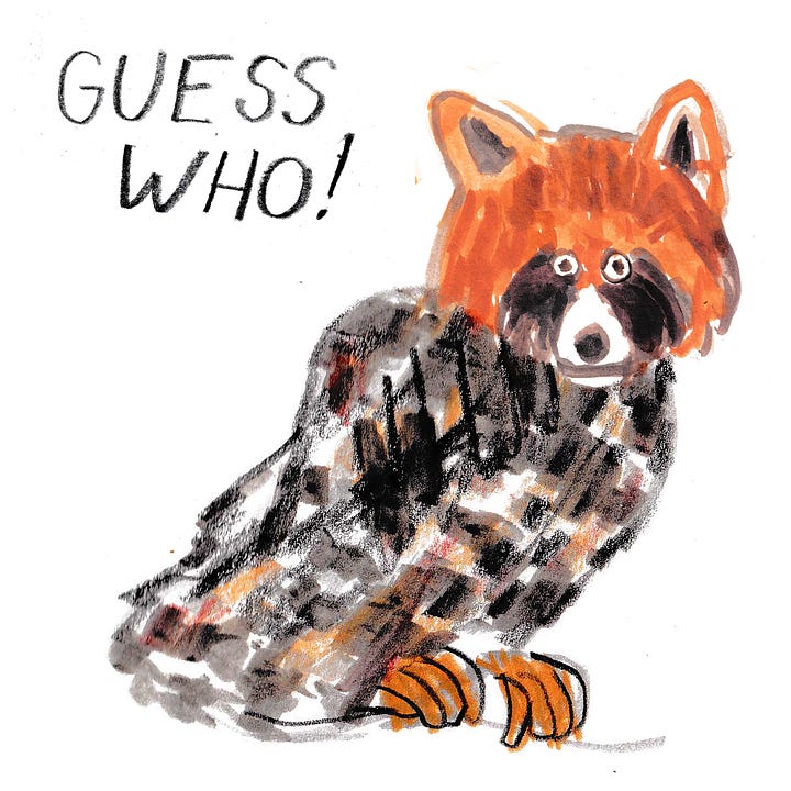 red panda, lemur and owls mixed up