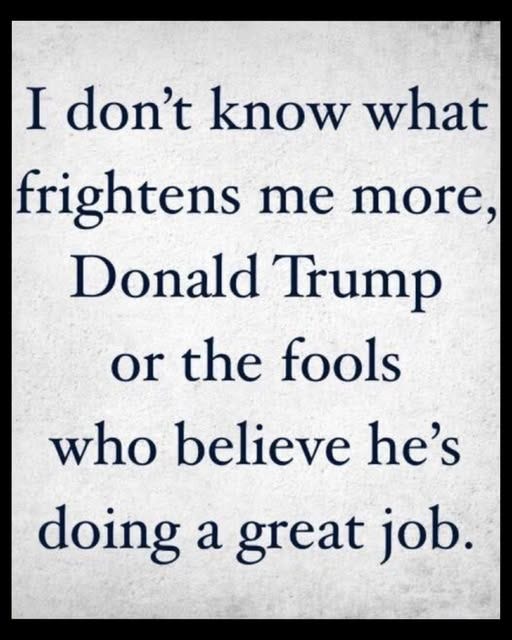 May be an image of text that says 'I don't know what frightens me more, Donald Trump or the fools who believe he's doing a great job.'
