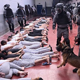 Who the Hell Teaches Dogs to Rape People?