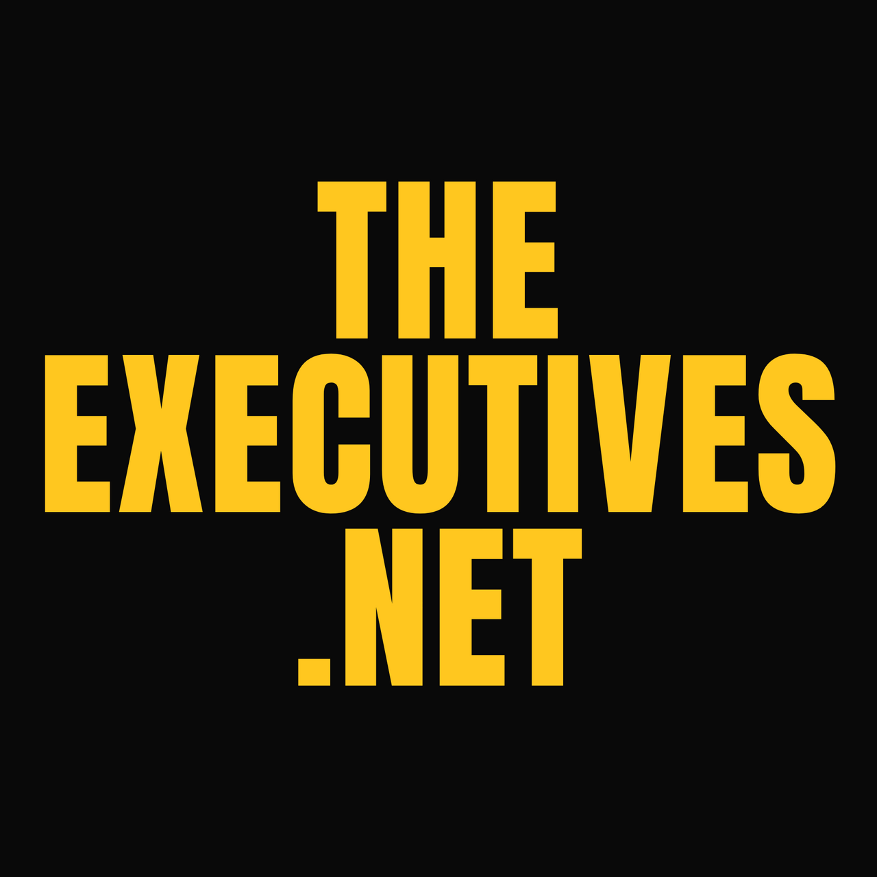 \ud83d\udcbc The Executives by Burak SU