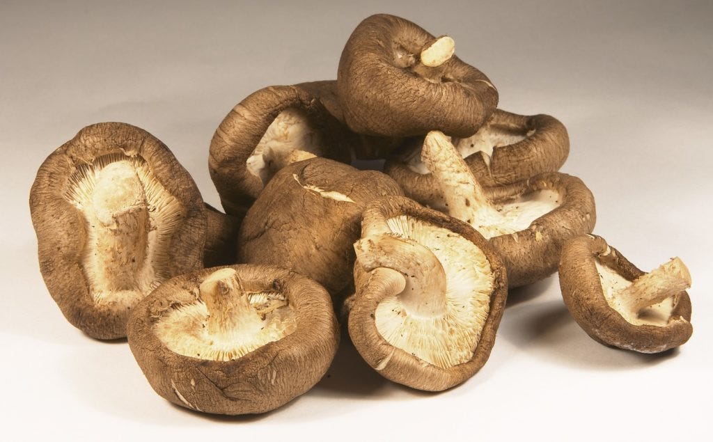 shitake mushrooms