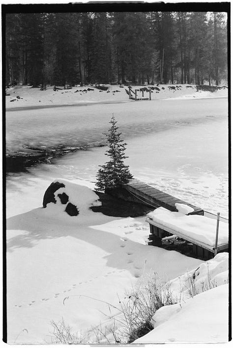 Kodak Tri X film images, photos, pictures