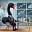 BlackSwan Investor's avatar