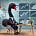 BlackSwan Investor's avatar