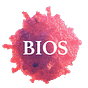 BIOS's avatar