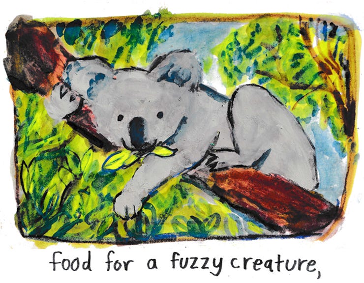 food for a fuzzy creature,