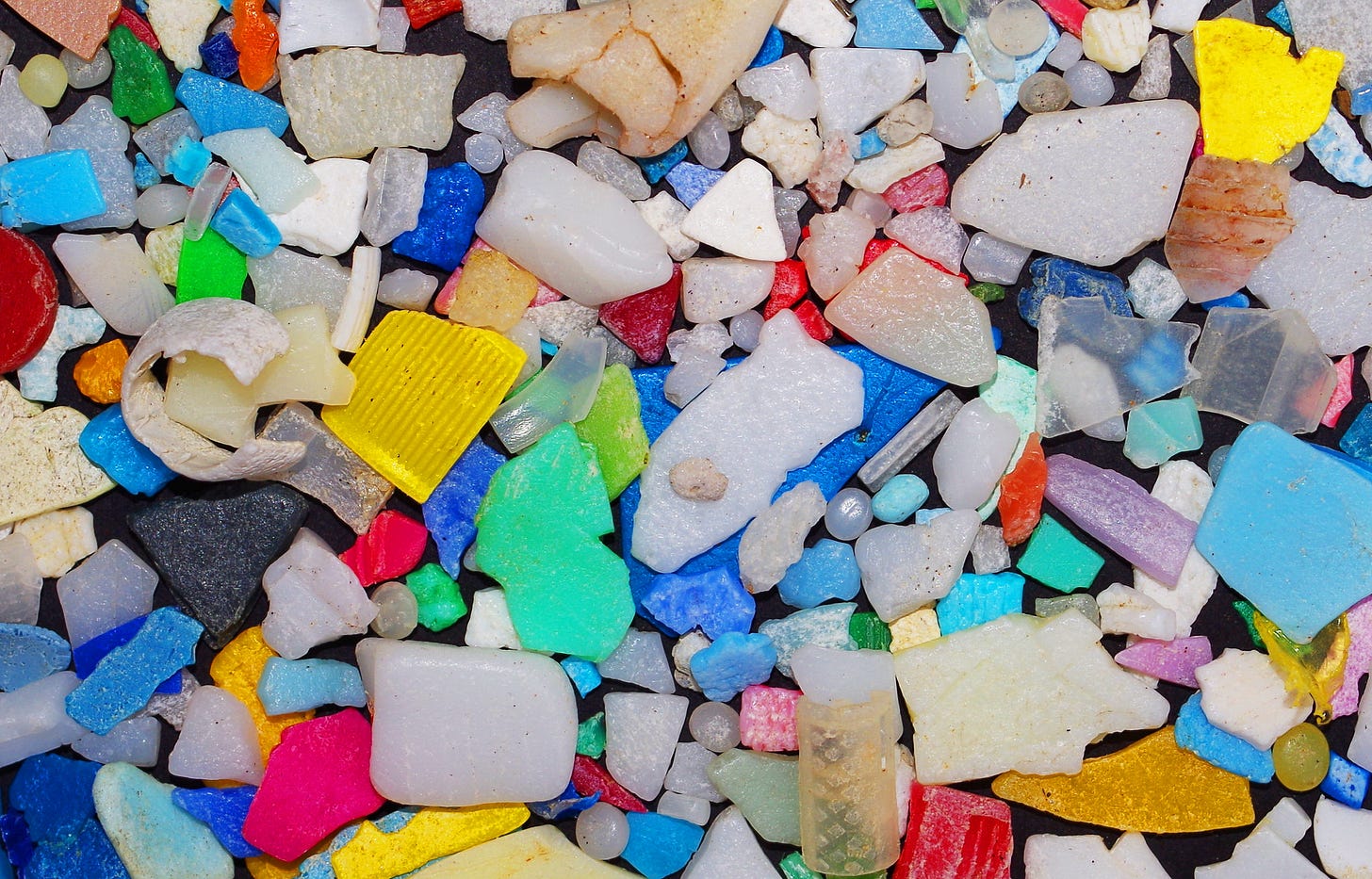 Certain types of plastics are more effective at promoting drug-resistant bacteria than others. Studies have found that polyethylene and expanded polystyrene microplastic particles appear to offer higher risk for fostering drug-resistant bacteria than other plastic types. Image by Wolfram Burner via Flickr (CC BY-NC 2.0).
