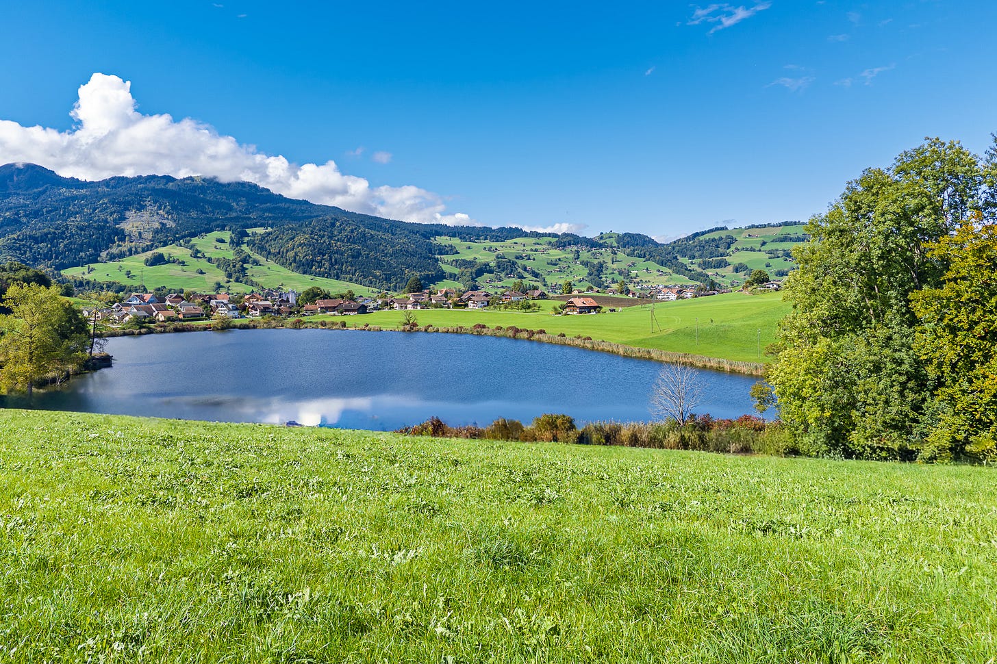 Im Vordergrund liegt der blaue Dittligsee, dahinter das Dorf Längenbühl mit verstreuten Häusern, Wiesen und sanften Hügeln. Die Landschaft wirkt ruhig und ländlich; der See speist den Mühlbach, an dem hinter dem Dorf die Dittligmühle liegt. Im Vordergrund liegt der blaue Dittligsee, dahinter das Dorf Längenbühl mit verstreuten Häusern, Wiesen und sanften Hügeln. Die Landschaft wirkt ruhig und ländlich; der See speist den Mühlbach, an dem hinter dem Dorf die Dittligmühle liegt.