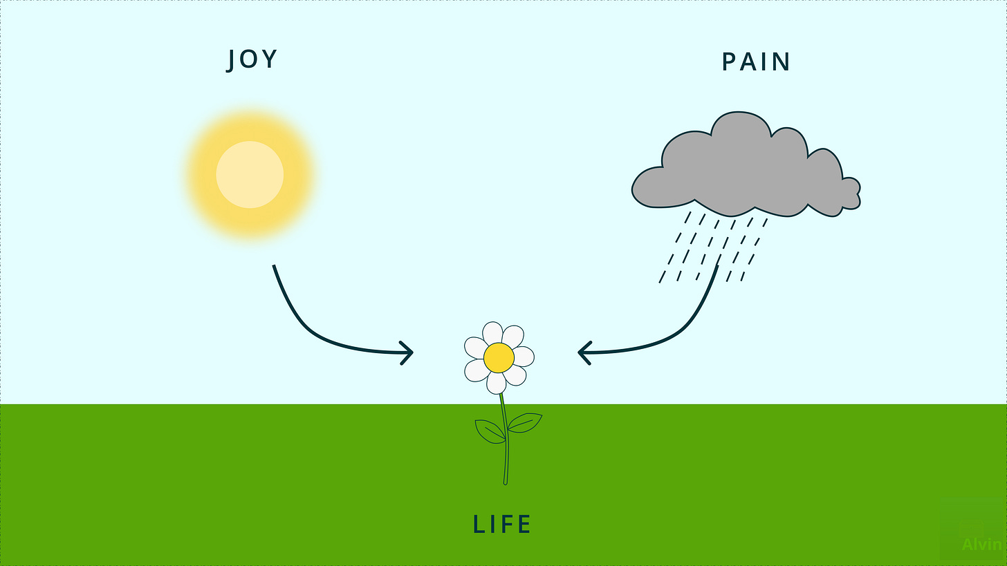 Joy is like the sun. Pain is like the rain. Life is like the flower.