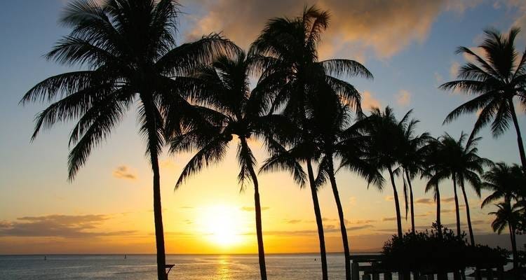 Best Island to Visit in Hawai Best Island to Visit in Hawai