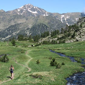 Déracinés de nature, le Trail nous ancre