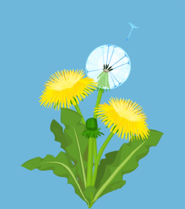 Illustration of a dandelion in full bloom with a seedball and 2 flowers, on a sky blue background.