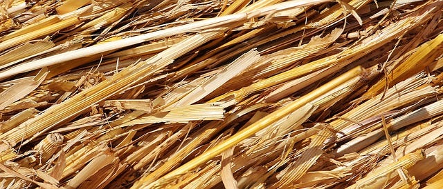 Straw Wiki What’s “The Straw That Broke The Camel’s Back” All About?