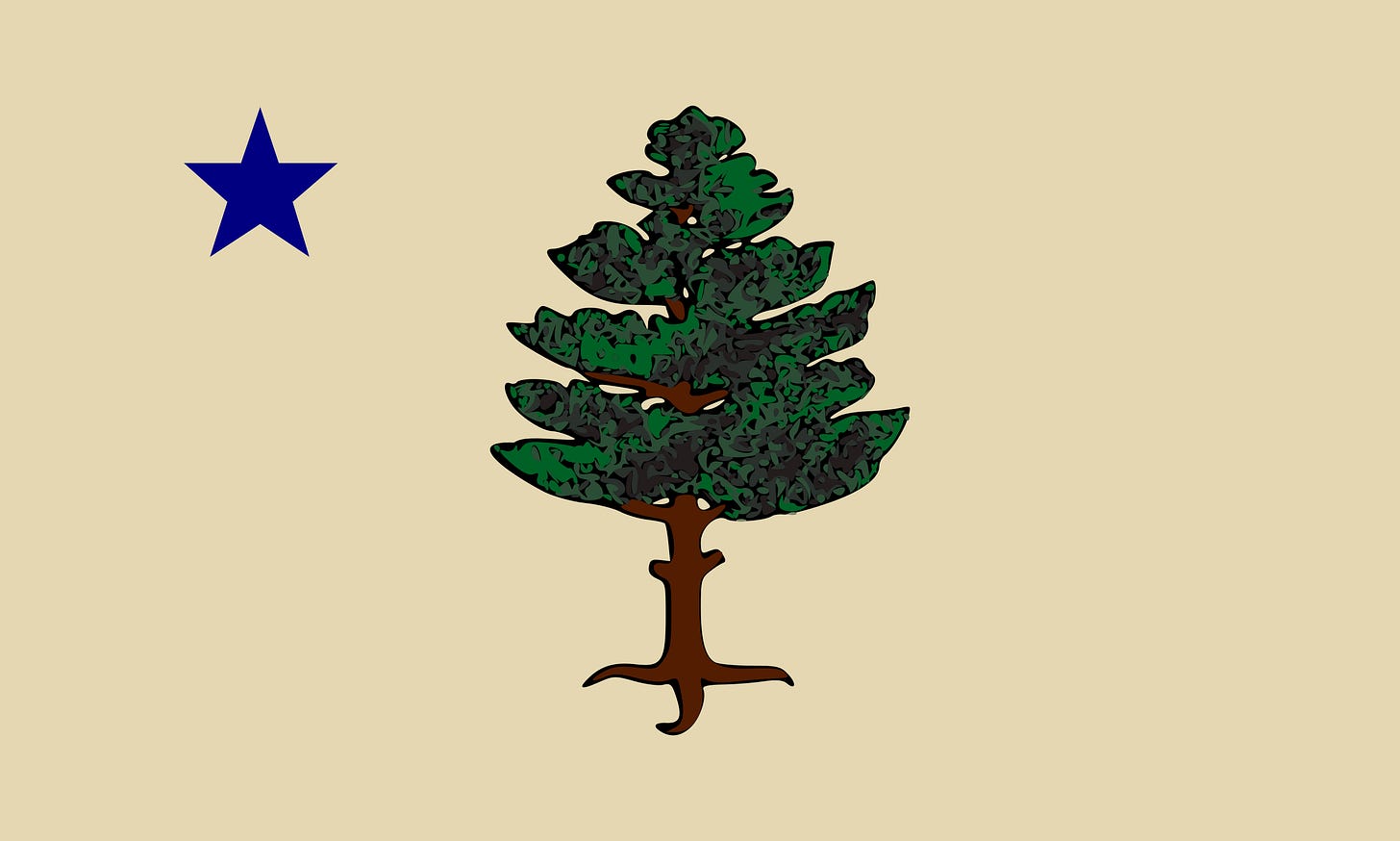 Former Maine state flag from 1901 to 1909