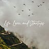 Life, Love, and Startups