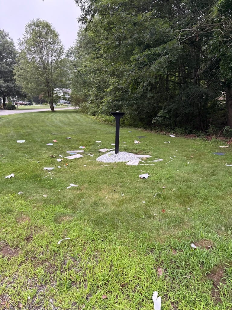 May be an image of grass