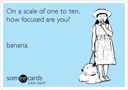 This may contain: a woman in a hat and dress with a dog on her leash is talking on the phone