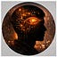 User's avatar