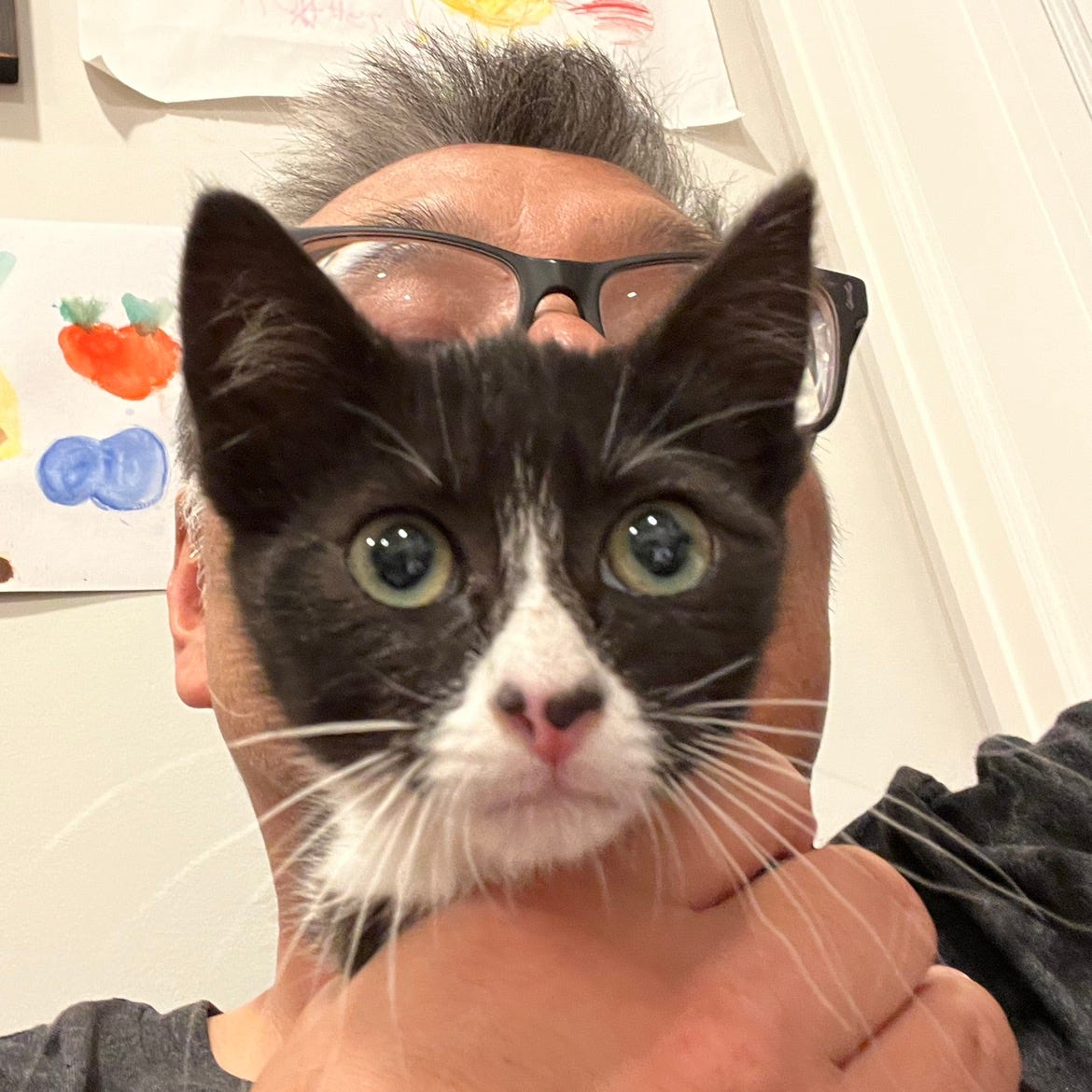 Hachiman Defense Newsletter