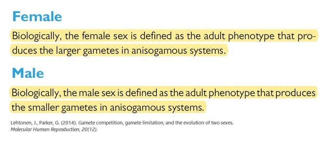 humanuseofhumanbeings.substack.com