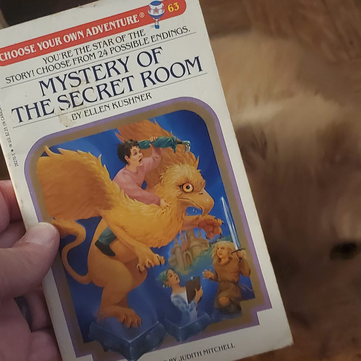 May be an image of text that says '63 ADVENTURE CHOOSE YOUR THE OWN STAR OF ROOM STORY! CHOOSE YOU'RE FROM MYSTERY 24 POSSIBLE OF THE ENDINGS. THE SECRET ELLEN KUSHNER BY JUDITHMITCHELL'
