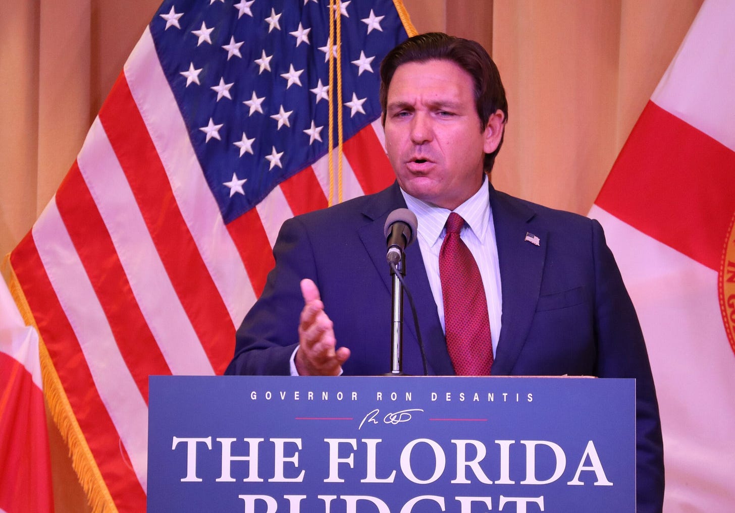 DeSantis signs budget and vetoes $567 million - WMNF 88.5 FM