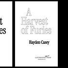 Typesetting a Novel with Multiple Design Elements