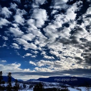 Next time boredom sets in, go outside and wander and wonder Next time boredom sets in, go outside and wander and wonder