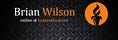  Brian Wilson Writes