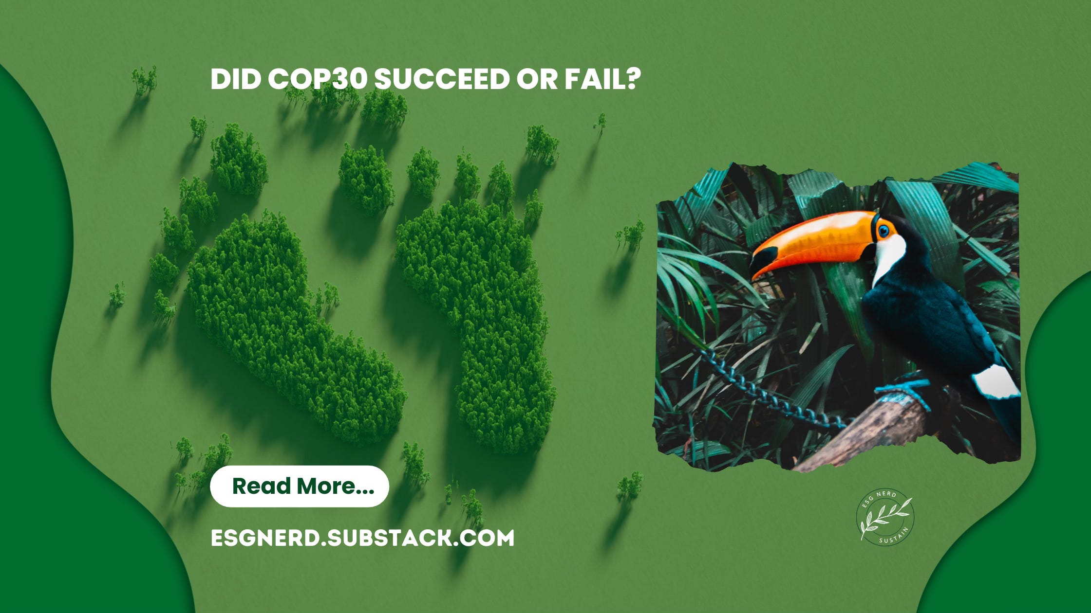 COP30 Verdict: Progress, Paralysis and What Comes Next