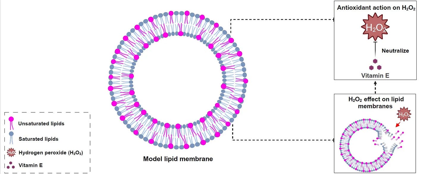 https%3A%2F%2Fsubstack post media.s3.amazonaws.com%2Fpublic%2Fimages%2F31b7b22b 1b8f 4471 9c8f