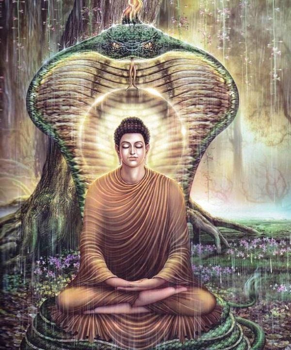 The World of Lord Buddha: Life Story Of Lord Buddha | Buddha art painting,  Buddha life, Buddha painting