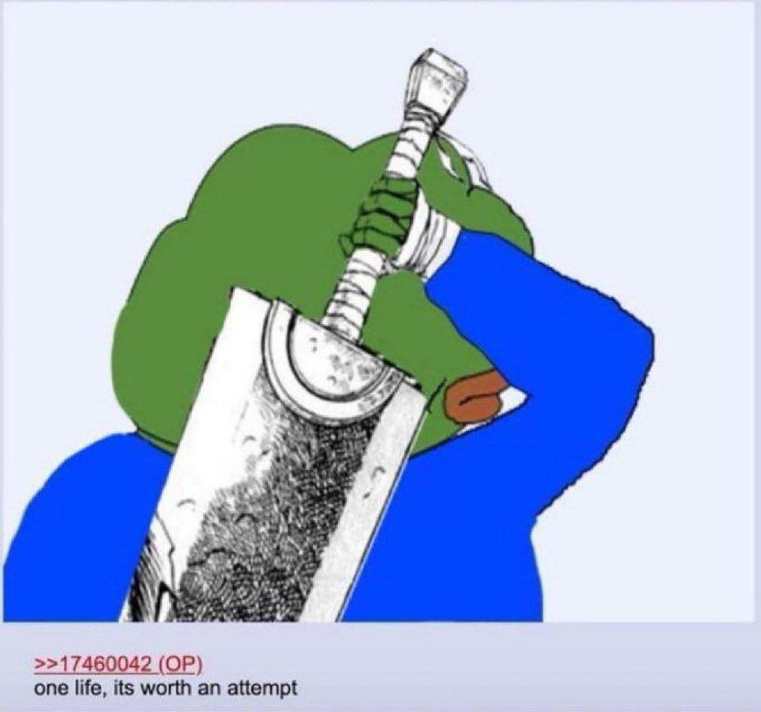 pepe on X: "one life, its worth an attempt https://t.co ...