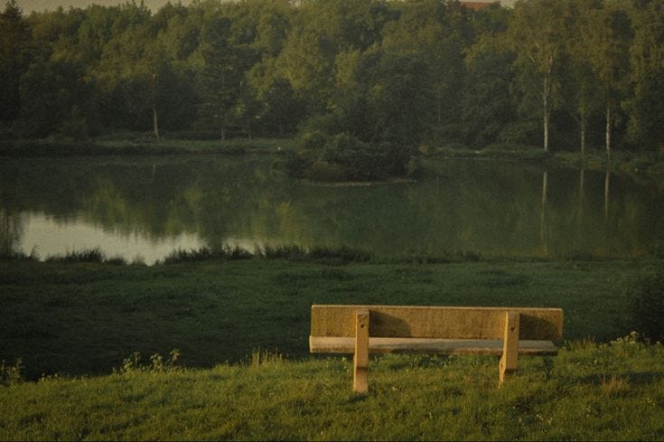 This may contain: a wooden bench sitting on top of a lush green field next to a lake with trees in the background