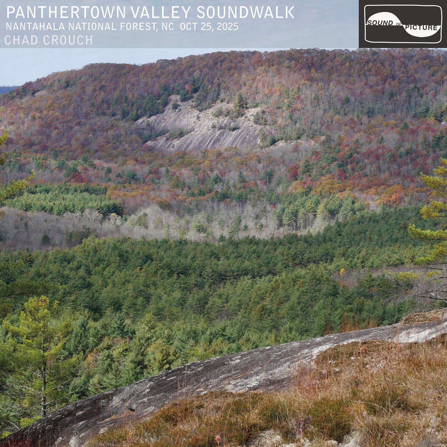 Panthertown Valley