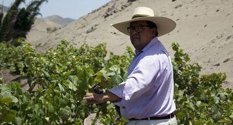 José "Pepe" Moquillaza (Photo courtesy Nicholas Gill)