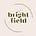 The Bright Field's avatar