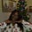 Folaranmi Faboye's avatar
