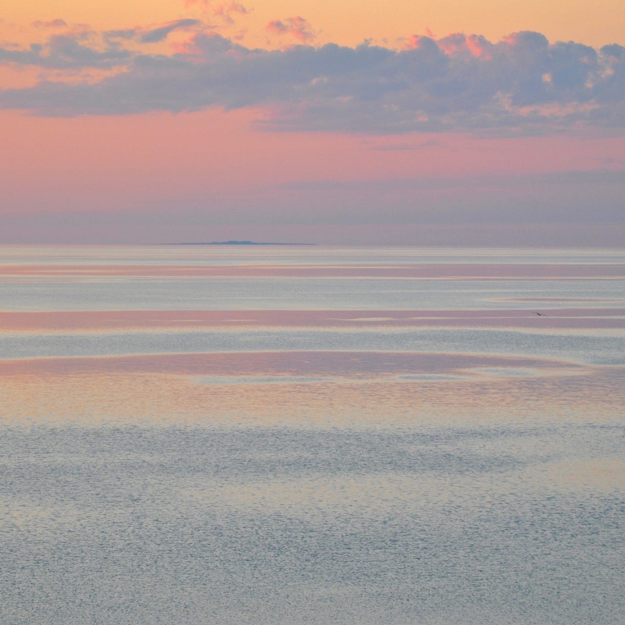 Barbara Stark-Nemon, author