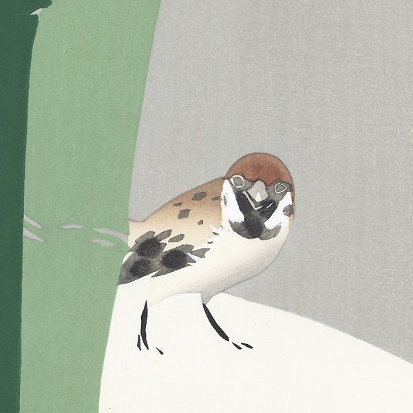 Sparrow in Snow by Kamisaka Sekka (1866 - 1942)