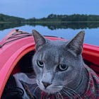 To Boldly Go Where No Cat Has Officially Gone Before