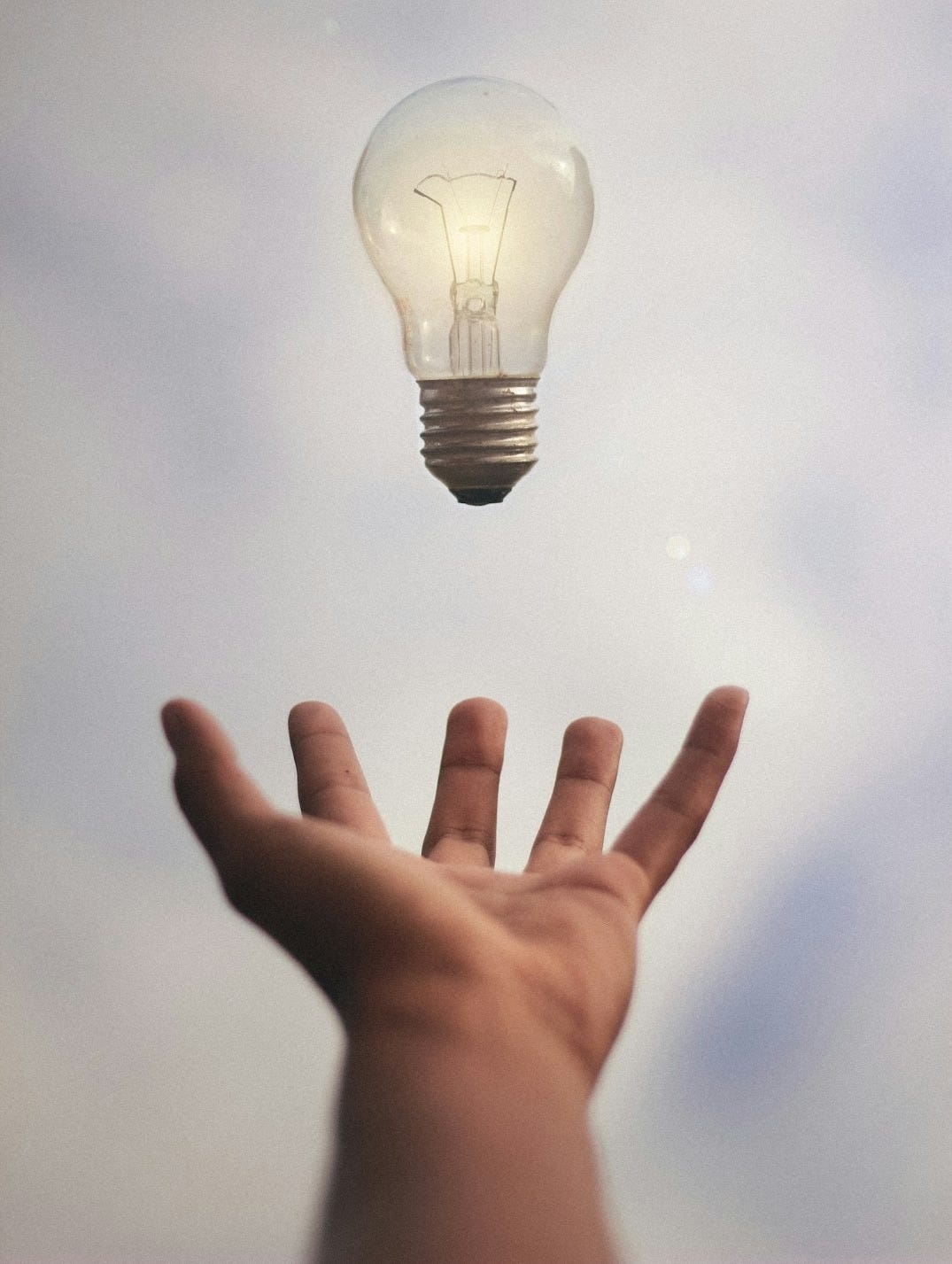 person catching light bulb
