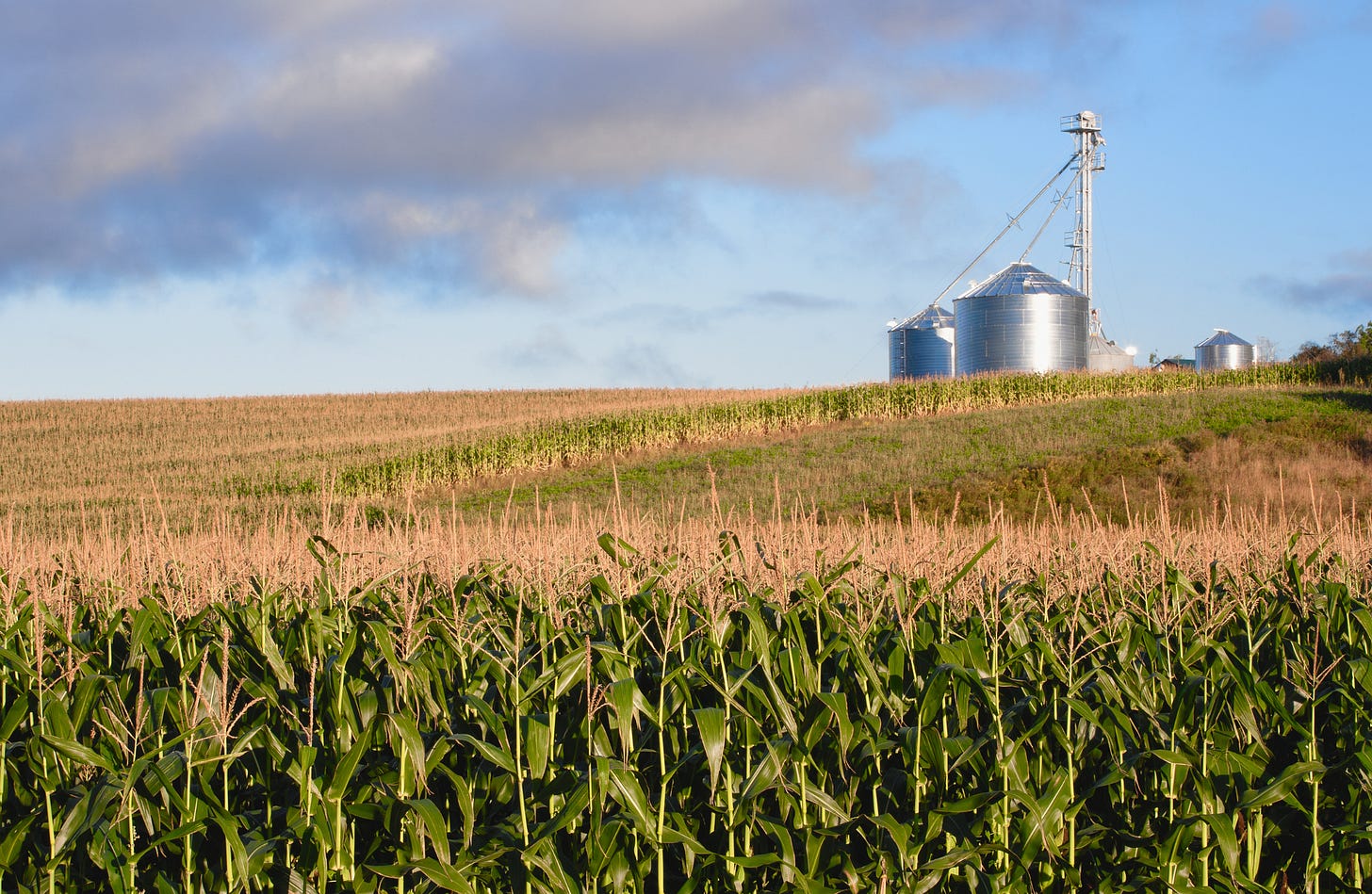 Hormuz Blocca i Fertilizzanti. La Semina Inizia tra due Settimane.