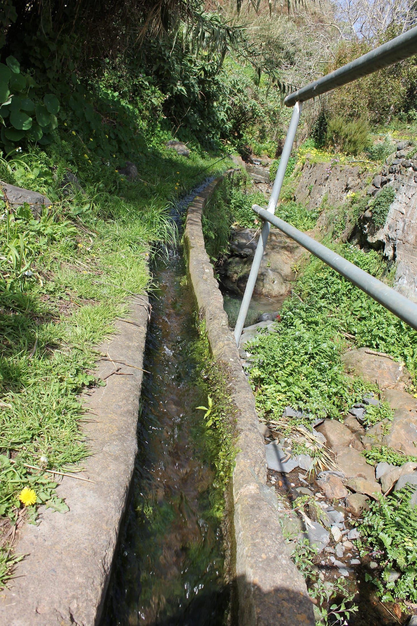 Madeira - A 6 Day Guide