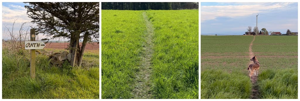 Three images of paths