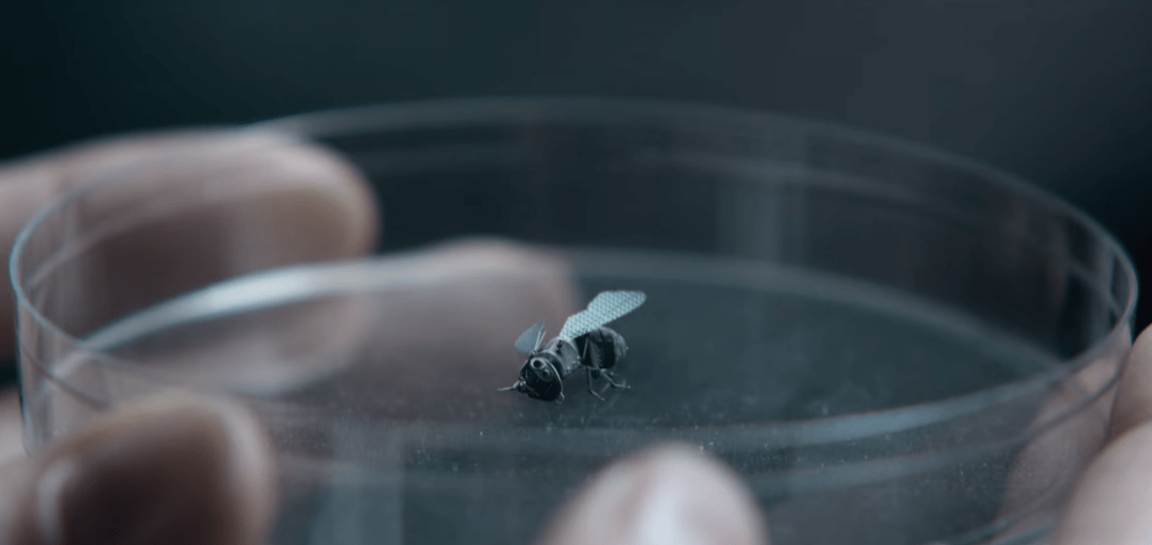 Black Mirror Season 3 Episode 6 Recap - Hated in the Nation