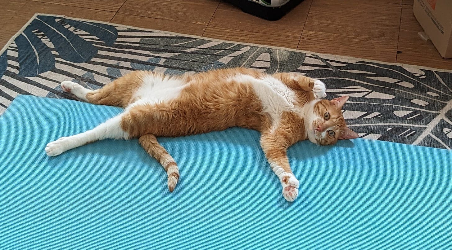 Slightly ruffled orange tabby cat flopped on his back, limbs akimbo, on a light blue yoga mat and hideous tropical area rug.